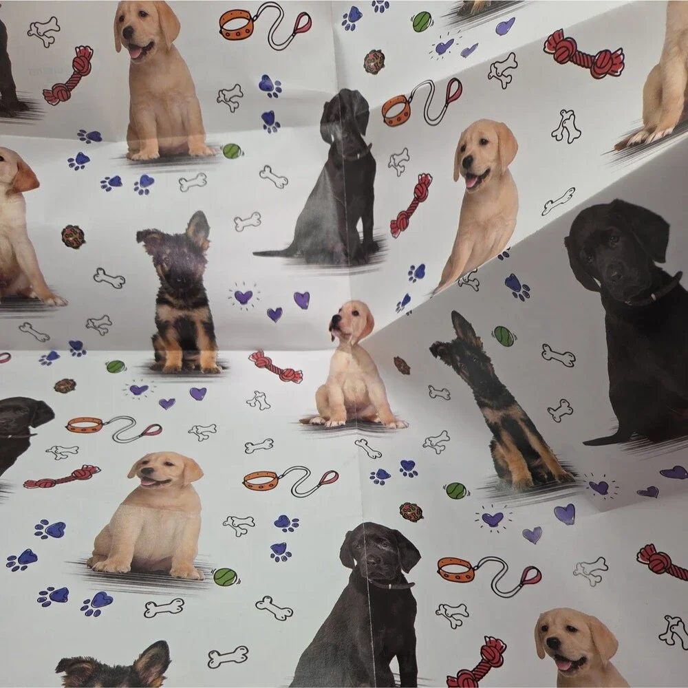 Guiding Eyes here we